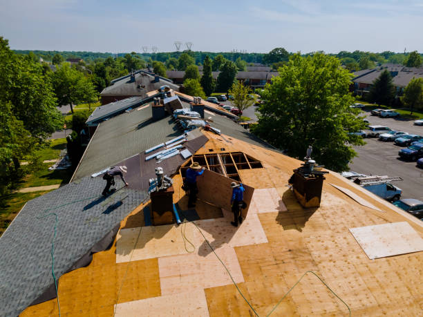 Best Flat Roof Repair Services  in Flossmoor, IL
