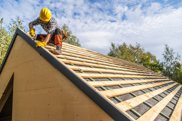 Best Roof Gutter Cleaning  in Flossmoor, IL